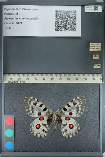Media type: image;   Entomology 175013